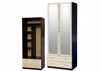 Шкаф для платья и белья 2-х дверный с профилем МДФ с 2 зеркалами Венге/Дуб выбеленный в Ужуре - uzhur.mebel54.com | фото
